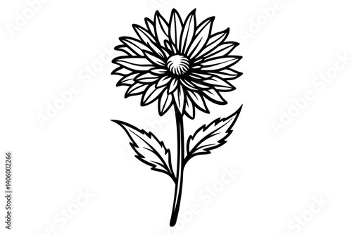 Wallpaper Mural Line Drawing of Aster Flower Illustration Torontodigital.ca