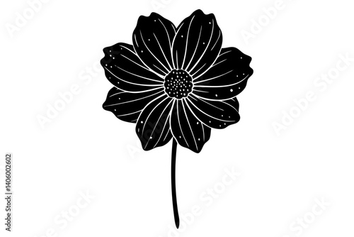 Elegant Cosmos Flower Drawing