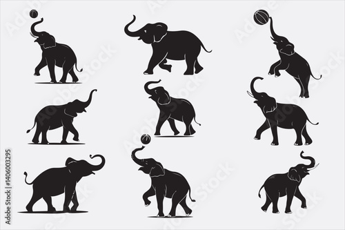 Elephants in different playful and majestic poses.