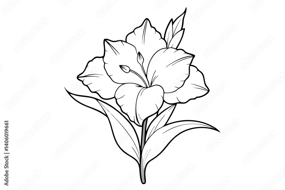 Obraz premium Gladiolus Bloom Line Art