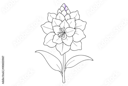 Delphinium Petal Line Drawing