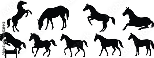 Set of Horse Silhouette Vector Illustrations – Galloping, Jumping, Standing and Resting Horse Poses