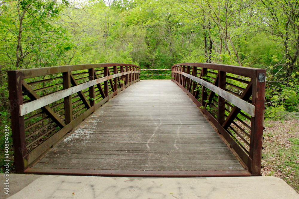 Obraz premium wooden bridge in the forest