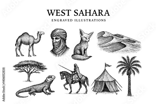 Engraved illustrations capturing the essence and diversity of West Sahara's natural landscape and culture