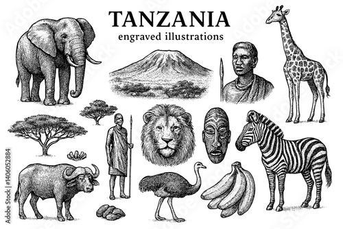 Engravings of Tanzania showcasing wildlife, culture, and landscapes with detailed illustrations of iconic symbols