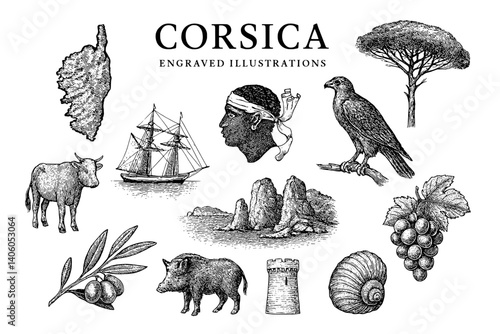 Engraved illustrations of Corsica showcasing its rich culture, nature, and historical landmarks through intricate vector art designs