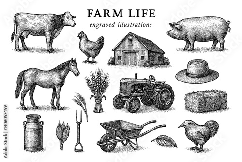 Exploring the essence of farm life through intricate engraved illustrations capturing animals, tools, and the rural landscape