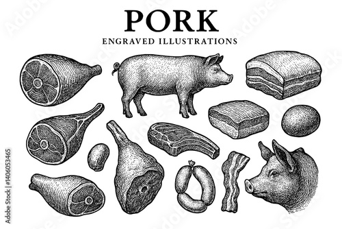 Engraved illustrations of pork showcasing various cuts and a pig in an artistic black and white style