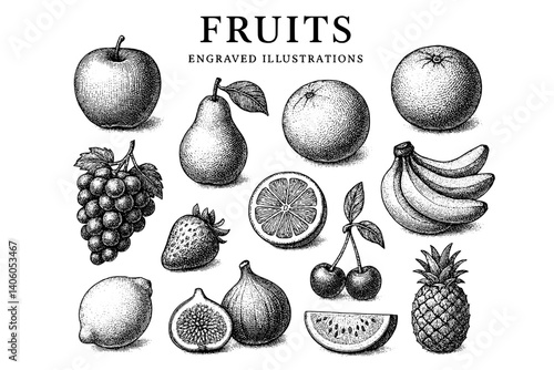 Engraved Illustration of Diverse Fruits Showcasing Nature's Bounty in Intricate Detail