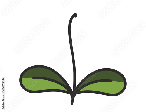 Sprouted plant with rounded leaves illustration in green colors. Spring, planting and nature design element. Isolated vector image