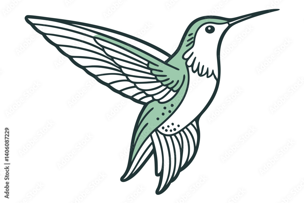 Fototapeta premium Hummingbird Silhouette Line Illustration