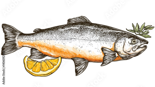 Vibrant Illustration of Salmon Line with Slice of Lemon