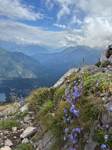 View into a mountain valley with small flowers in foreground, seen from Grubigstein
