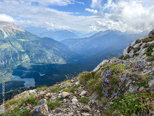 View into a mountain valley with small flowers in foreground, seen from Grubigstein