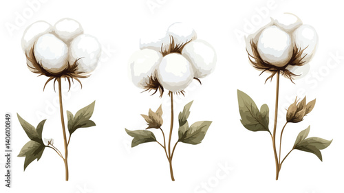Cotton Icons Vector Illustration Isolated on White Background