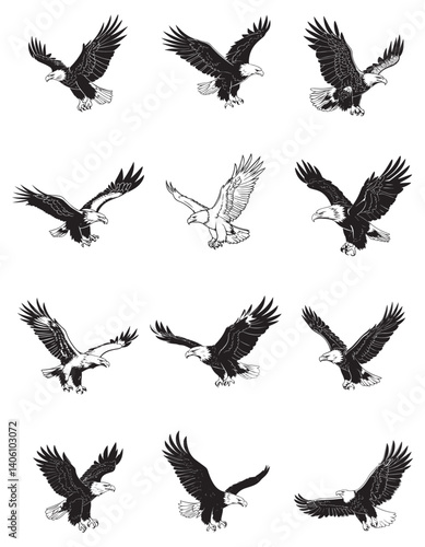 Wild vector illustration of eagle
