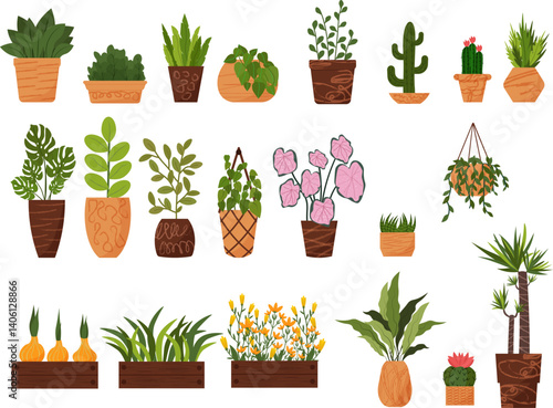 Indoor plants in pots for home, office, room decor. A set of flowers in clay pots, wooden boxes and hanging planters. Various types of plants - begonia, cacti, palms and bulbous plants, bindweed