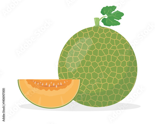 Fresh green Cantaloupe Melon fruit and piece. Organic melons for juice, smoothie or vitamin healthy food. Vector icon illustration isolated on white background.