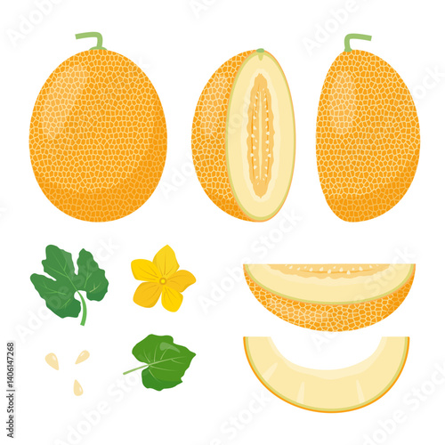 Fresh yellow Melon fruit set. Whole melon, cut and pieces, leaves, flower and seeds. Organic fruit for juice, smoothie or vitamin healthy food. Vector icons illustration isolated on white background.