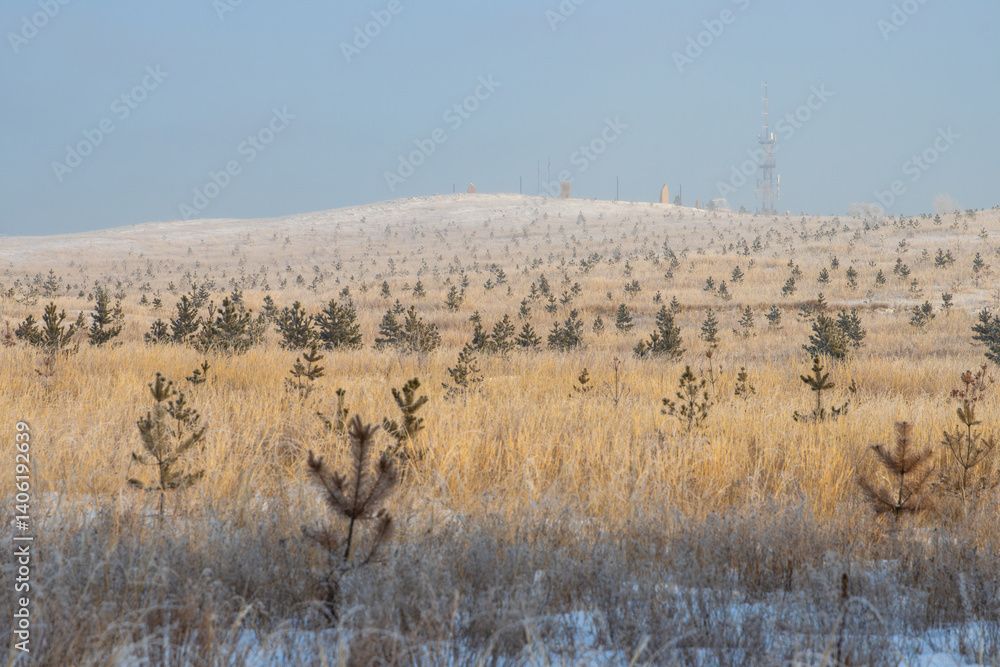 Winter landscape. View of Mount Samokhval (also known as the Mountain of Love). Abakan, Republic of Khakassia, Siberia, Russia. Many pine seedlings are planted on the slope of the mountain.