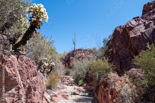 Sonoran Desert arroyo with red stone walls