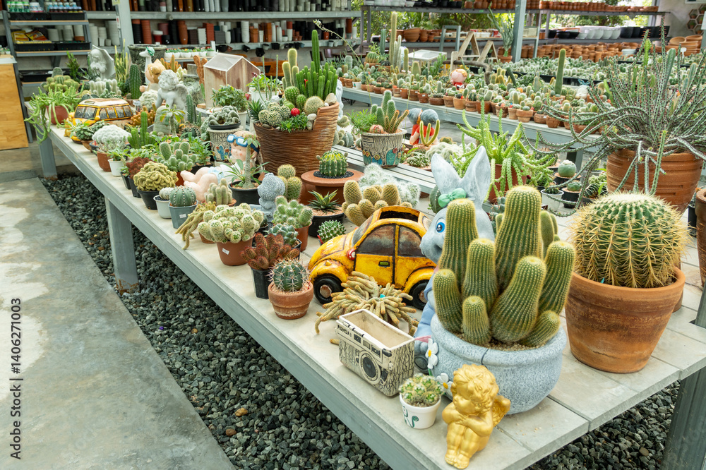 Vibrant cactus display garden center plant arrangement greenhouse close-up nature's beauty