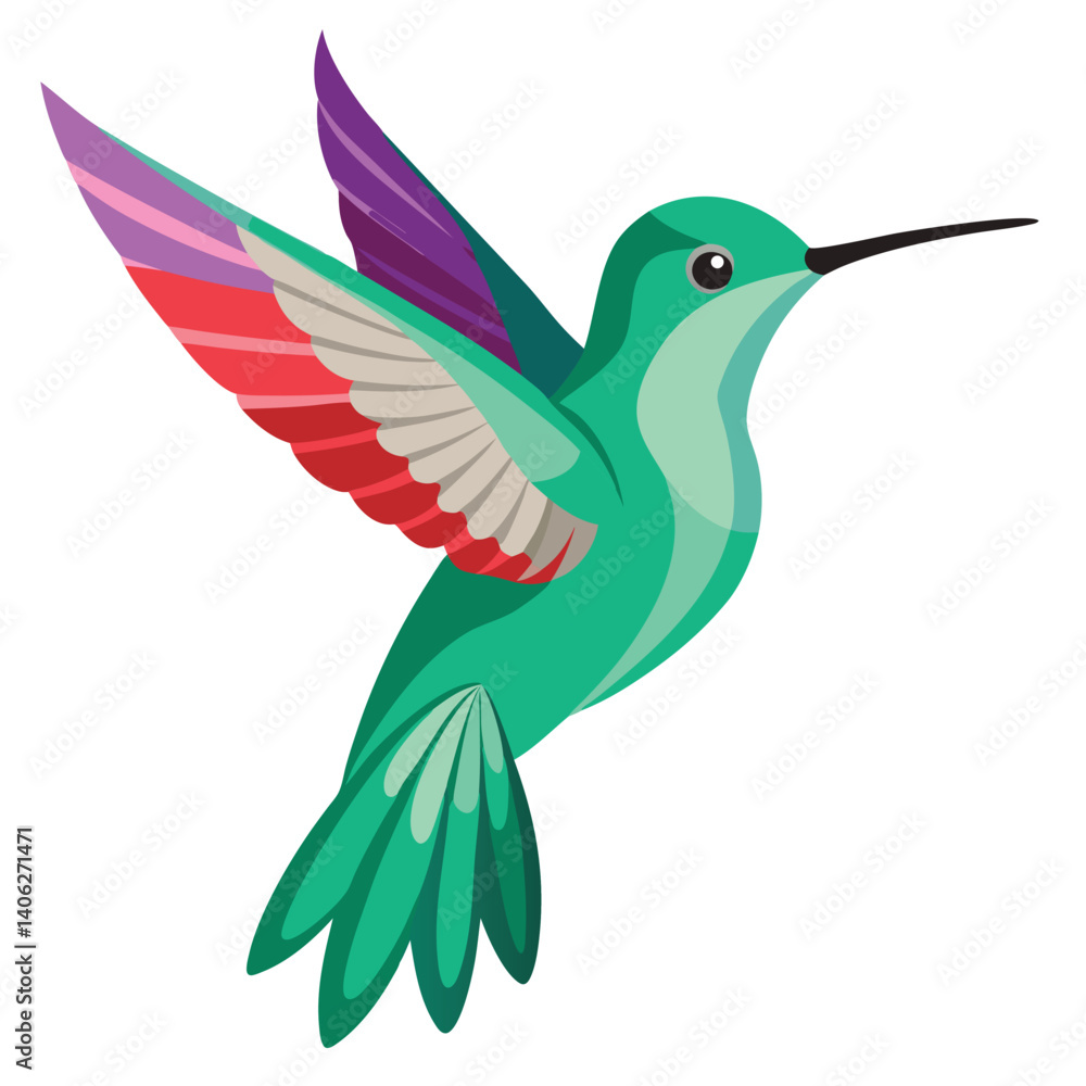 Hummingbird isolated on white background Hummingbird isolated on white background