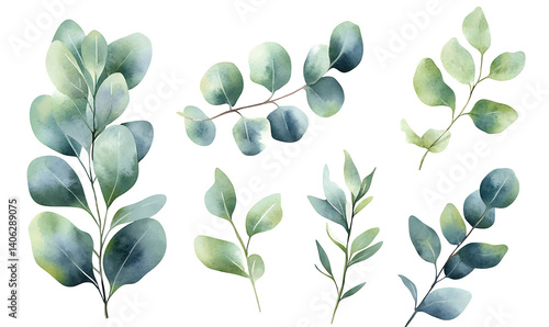 illustrations of various trees, leaves, grasses, and botanical elements on white background.