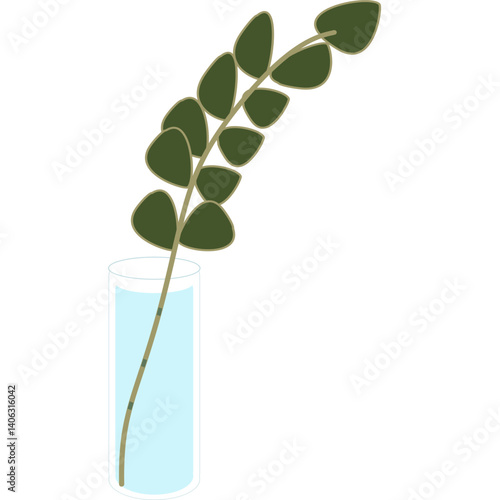 green plant isolated on white background