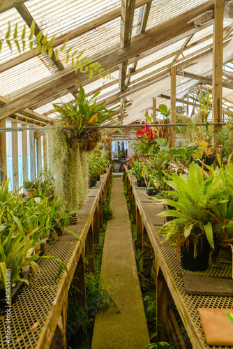 Lush Greenhouse with Flowering Plants and Pathways