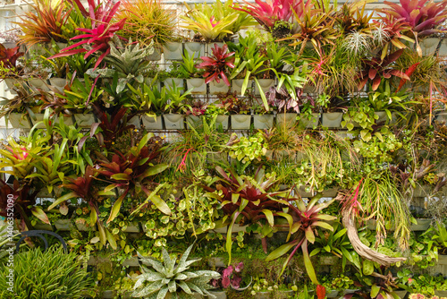 Lush Vertical Garden with Vibrant Tropical Plants