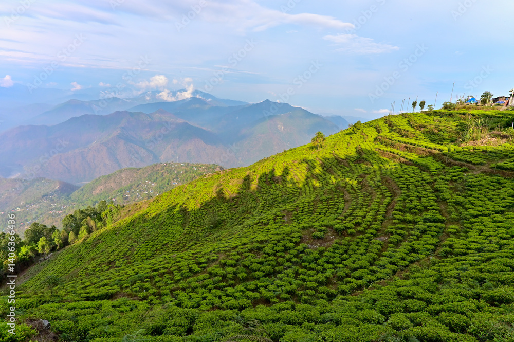 Fototapeta premium A lush, magical greenery stretches across the landscape, glowing with life, while soft blue layers of distant mountains rise in the background, fading into the mist like a dreamy watercolor painting.