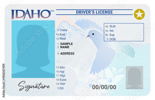 Idaho driver's license with female silhouette isolated on white background