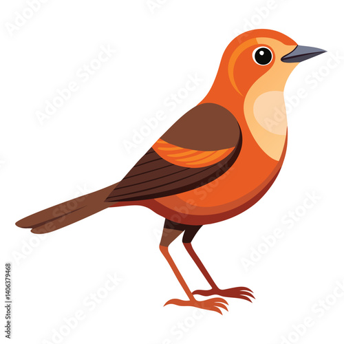 A small, brown bird with a slightly cocked tail and a pale throat stands against a white background.