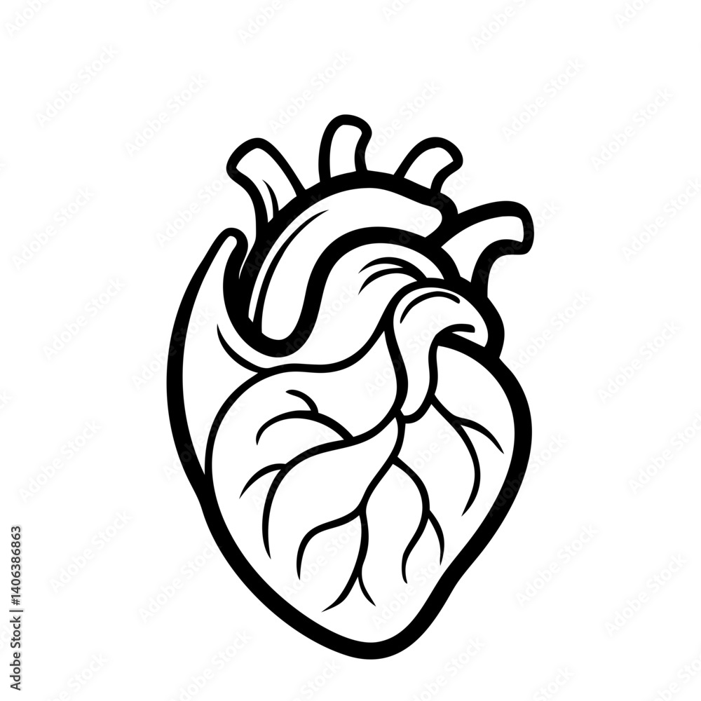 Fototapeta premium Hand Drawn Human Heart illustration