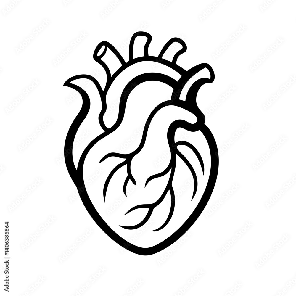 Hand Drawn Human Heart illustration Hand Drawn Human Heart illustration
