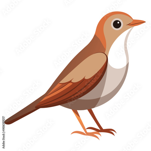 A small, brown bird with a slightly cocked tail and a pale throat stands against a white background.