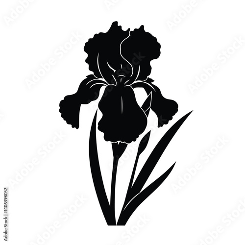 Iris flower silhouette. This image shows a black silhouette of an iris flower with detailed petals and leaves. Vector illustration black clipart design.