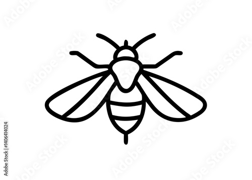 cicada. Insect Icon.