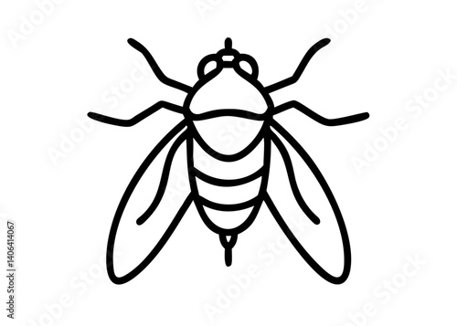 cicada. Insect Icon.