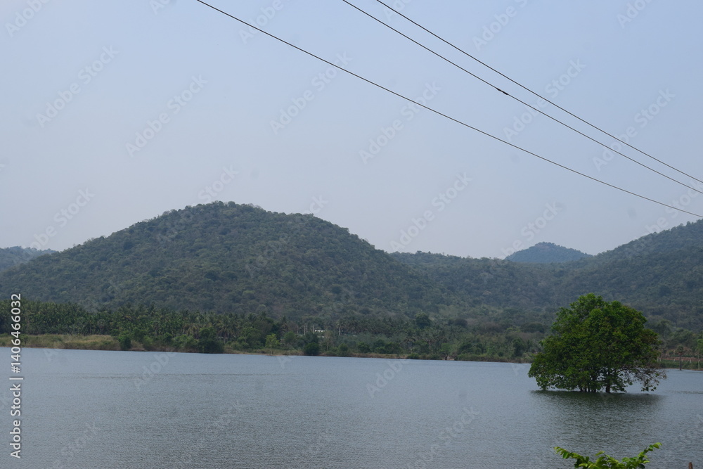 custom made wallpaper toronto digitalsingle tree in lake bacground mountain with sky cool climate dam and mountain