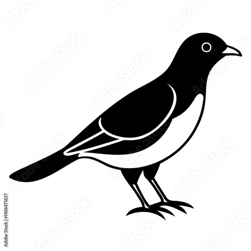 Myna Bird Line Art Vector Black Silhouette Isolated on Transparent Background