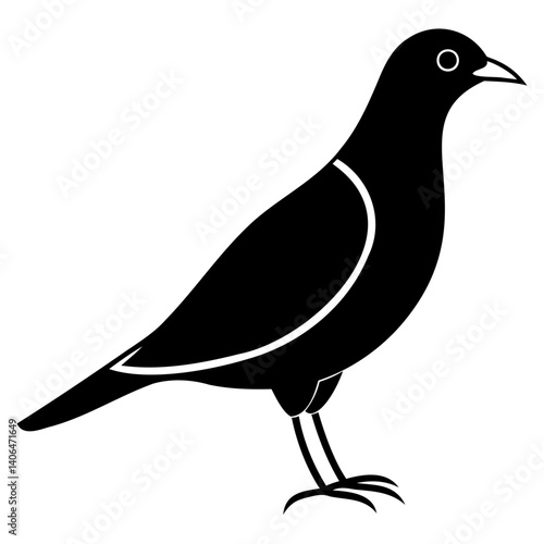 Myna Bird Line Art Vector Black Silhouette Isolated on Transparent Background