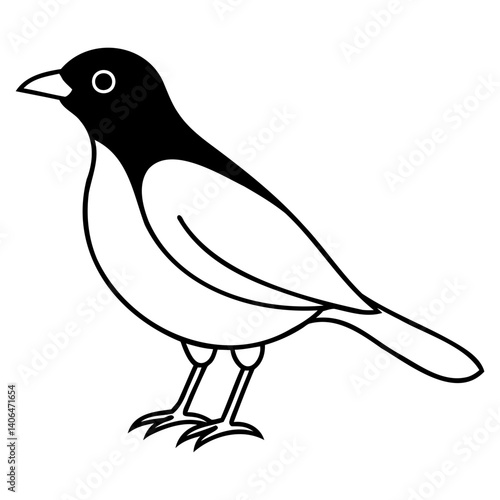Line art Myna Bird vector black silhouette isolated on transparent background