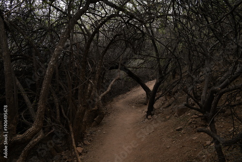 Creepy path