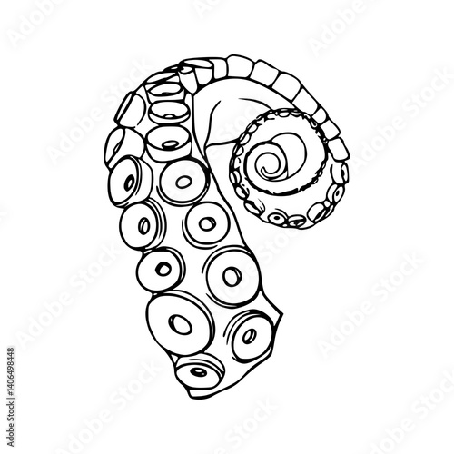 detailed octopus tentacle vector illustration