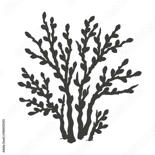 Pussy willow silhouette. Isolated outline illustration of willow bush. Single natural object from Signs of Spring collection for winter, spring or autumn season, background or landscape creation