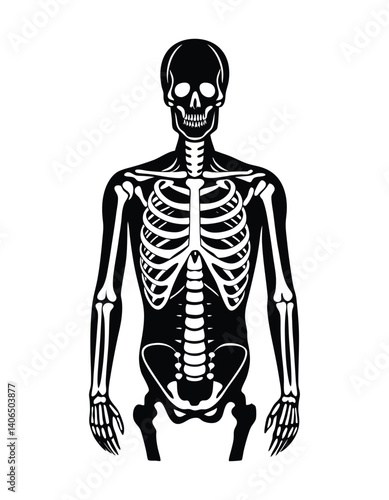 vector illustration of a human skeleton silhouette icon