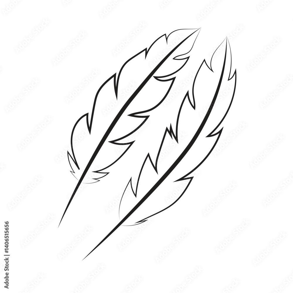 Fototapeta premium Vector illustration of a hand drawn feather