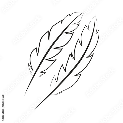 Vector illustration of a hand drawn feather